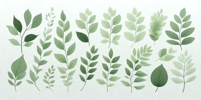 The image features a collection of green leaves, possibly from a plant or a drawing. The leaves are arranged in a row, with each leaf being slightly different in shape and size. The primary subject of the image is the green leaves, which are the main focus of the scene. The setting is a white background, which provides a clean and simple backdrop for the leaves. The visual style of the image is a combination of a photo and a drawing, as the leaves appear to be both realistic and artistic. The colors and mood of