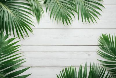 The primary subject of the image is a wall with a white background. The setting is a room with a white wall, and the visual style is a photo. The colors and mood of the image are predominantly white, creating a clean and minimalist atmosphere.