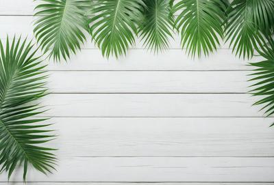 The primary subject of the image is a white wall with green palm fronds hanging from it. The setting is a room with a white wall, and the visual style is a photo. The dominant colors are white and green, creating a calm and relaxing atmosphere.