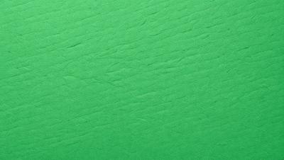 The primary subject of the image is a green surface, which appears to be a textured wallpaper or a patterned wall. The setting is indoors, and the visual style is a close-up of the green surface. The colors and mood of the image are predominantly green, creating a calm and soothing atmosphere.