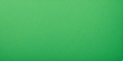 The primary subject of the image is a large, bright green background. The setting is a plain, uncluttered space with no visible objects or people. The visual style is a close-up of the green background, which creates a sense of depth and focus. The colors and mood of the image are predominantly green, giving it a calm and serene atmosphere.