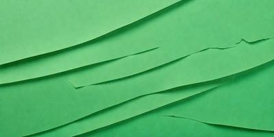 The primary subject of the image is a green paper, which is the main object, scene, or focus of the image. The setting is a green background, and the visual style is a photo. The colors and mood of the image are predominantly green, creating a calm and soothing atmosphere.