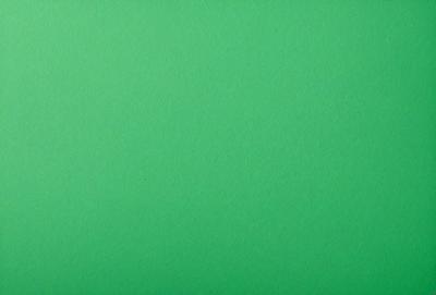 The primary subject of the image is a large, green wall. The setting is a plain, empty room with no other objects or people visible. The visual style is a close-up of the green wall, which gives a sense of depth and texture to the image. The colors and mood are predominantly green, creating a calm and serene atmosphere.