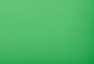 The primary subject of the image is a large, bright green background. The setting is a plain, empty space with no visible objects or people. The visual style is a close-up of the green background, which creates a sense of depth and focus. The colors and mood of the image are predominantly green, giving it a calm and serene atmosphere.
