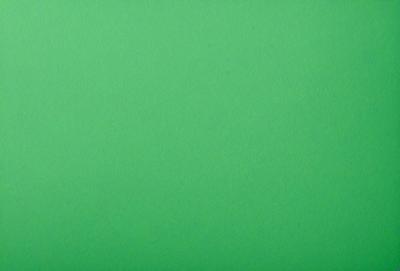 The primary subject of the image is a large, bright green wall. The setting is a plain, empty room with no other objects or people visible. The visual style is a close-up of the green wall, which gives a sense of depth and texture. The colors and mood of the image are predominantly green, creating a calm and serene atmosphere.