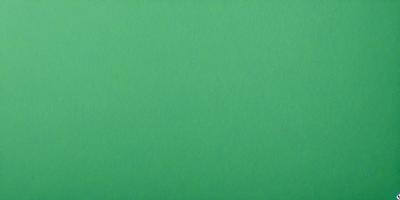 The primary subject of the image is a large, bright green wall. The setting is a plain, empty room with no other objects or people visible. The visual style is a close-up of the green wall, which gives a sense of depth and texture. The colors and mood of the image are predominantly green, creating a calm and serene atmosphere.