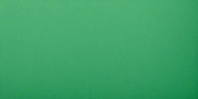The primary subject of the image is a large, bright green background. The setting is a plain, empty space with no visible objects or people. The visual style is a close-up of the green background, which gives a sense of depth and focus to the image. The colors and mood are predominantly green, creating a calm and serene atmosphere.