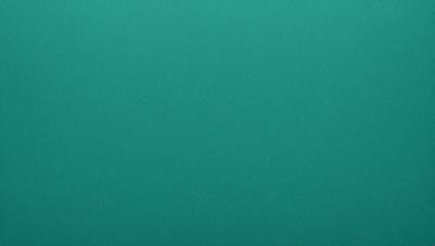 The primary subject of the image is a large, dark green surface. The setting is a plain, empty space with no visible objects or background. The visual style is a close-up of the green surface, which appears to be a wall or a large piece of fabric. The colors and mood of the image are predominantly dark and moody, with the green surface being the main focus.