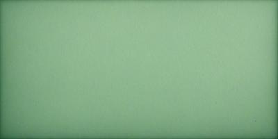 The primary subject of the image is a green wall. The setting is a room with a green wall, and the visual style is a photo. The dominant colors are green, and the overall atmosphere is calm and serene.