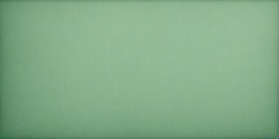 The primary subject of the image is a large, green wall. The setting is a plain, empty room with no other objects or people visible. The visual style is a close-up of the green wall, which gives a sense of depth and texture. The colors and mood of the image are predominantly green, creating a calm and serene atmosphere.