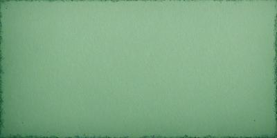 The primary subject of the image is a green background. The setting is a plain, empty space with no visible objects or people. The visual style is a close-up of the green background, which appears to be a piece of paper or a fabric. The colors and mood of the image are predominantly green, creating a calm and serene atmosphere.