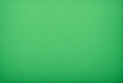 The primary subject of the image is a large, bright green background. The setting is a plain, empty space with no visible objects or people. The visual style is a close-up of the green background, which gives the image a clean and uncluttered appearance. The colors and mood of the image are predominantly green, creating a calm and serene atmosphere.