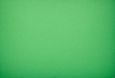 The primary subject of the image is a large, bright green background. The setting is a plain, empty space with no visible objects or people. The visual style is a close-up of the green background, which gives the image a clean and uncluttered appearance. The colors and mood of the image are predominantly green, creating a calm and serene atmosphere.
