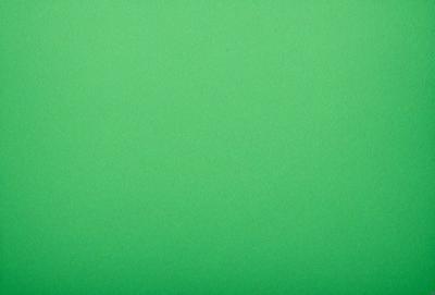 The primary subject of the image is a large, bright green background. The setting is a plain, empty space with no visible objects or people. The visual style is a close-up of the green background, which creates a sense of depth and focus. The colors and mood of the image are predominantly green, giving it a calm and serene atmosphere.