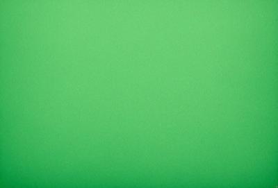 The primary subject of the image is a large, bright green background. The setting is a plain, empty space with no visible objects or people. The visual style is a close-up of the green background, which creates a sense of depth and focus. The colors and mood of the image are predominantly green, giving it a calm and serene atmosphere.