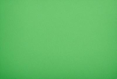 The primary subject of the image is a large, bright green background. The setting is a plain, empty space with no visible objects or people. The visual style is a close-up of the green background, which creates a sense of depth and focus. The colors and mood of the image are predominantly green, giving it a calm and serene atmosphere.