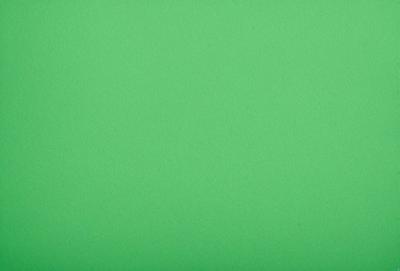The primary subject of the image is a large, bright green background. The setting is a plain, empty space with no visible objects or people. The visual style is a close-up of the green background, which gives the image a clean and uncluttered appearance. The colors and mood of the image are predominantly green, creating a calm and serene atmosphere.