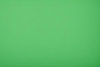 The primary subject of the image is a large, bright green background. The setting is a plain, empty space with no visible objects or people. The visual style is a close-up of the green background, which creates a sense of depth and focus. The colors and mood of the image are predominantly green, giving it a calm and serene atmosphere.