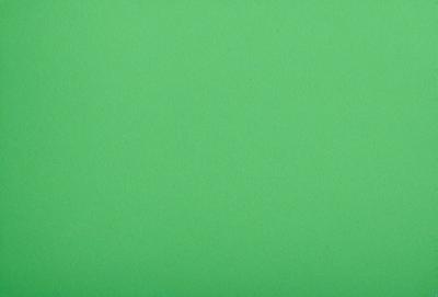 The primary subject of the image is a large, bright green background. The setting is a plain, empty space with no visible objects or people. The visual style is a close-up of the green background, which gives the image a clean and uncluttered appearance. The colors and mood of the image are predominantly green, creating a calm and serene atmosphere.