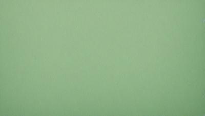 The primary subject of the image is a large, green wall. The setting is a plain, empty room with no other objects or people visible. The visual style is a close-up of the green wall, which gives a sense of depth and texture. The colors and mood of the image are predominantly green, creating a calm and serene atmosphere.