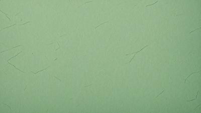The primary subject of the image is a green background with a few white strands of hair on it. The setting appears to be a green wall, and the visual style is a close-up of the hair on the wall. The colors and mood of the image are predominantly green, with the white strands of hair adding a touch of contrast.