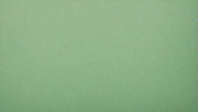 The primary subject of the image is a large, green wall. The setting is a plain, empty room with no other objects or people visible. The visual style is a close-up of the green wall, which gives a sense of depth and texture to the image. The colors and mood are predominantly green, creating a calm and serene atmosphere.