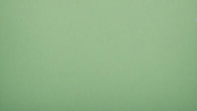 The primary subject of the image is a large, green wall. The setting is a plain, empty room with no other objects or people visible. The visual style is a close-up of the green wall, which gives a sense of depth and texture to the image. The colors and mood are predominantly green, creating a calm and serene atmosphere.