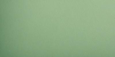The primary subject of the image is a large, green wall. The setting is a plain, empty room with no other objects or people visible. The visual style is a close-up of the green wall, which gives a sense of depth and texture to the image. The colors and mood are predominantly green, creating a calm and serene atmosphere.