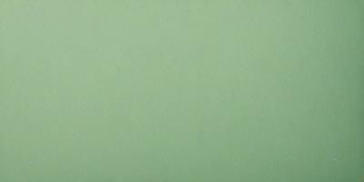 The primary subject of the image is a large, green wall. The setting is a plain, empty room with no other objects or people visible. The visual style is a close-up of the green wall, which gives a sense of depth and texture to the image. The colors and mood of the image are predominantly green, creating a calm and serene atmosphere.