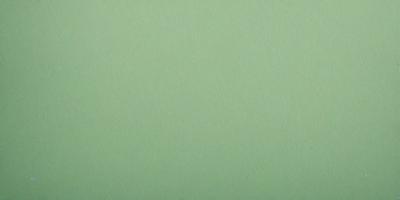 The primary subject of the image is a large, green wall. The setting is a plain, empty room with no other objects or people visible. The visual style is a close-up of the green wall, which gives a sense of depth and texture to the image. The colors and mood are predominantly green, creating a calm and serene atmosphere.