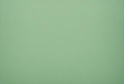 The primary subject of the image is a large, green wall. The setting is a plain, empty room with no other objects or people visible. The visual style is a close-up of the green wall, which gives a sense of depth and texture. The colors and mood of the image are predominantly green, creating a calm and serene atmosphere.