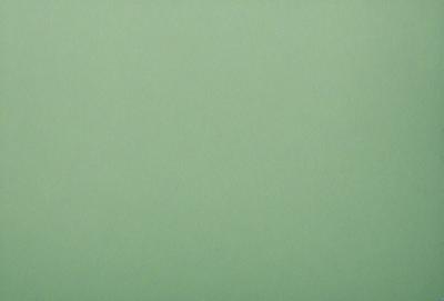 The primary subject of the image is a large, green wall. The setting is a plain, empty room with no other objects or people visible. The visual style is a close-up of the green wall, which gives a sense of depth and texture. The colors and mood of the image are predominantly green, creating a calm and serene atmosphere.