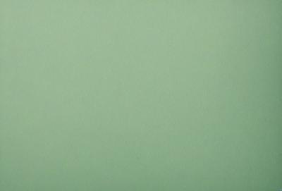 The primary subject of the image is a large, green wall. The setting is a plain, empty room with no other objects or people visible. The visual style is a close-up of the green wall, which gives a sense of depth and texture. The colors and mood of the image are predominantly green, creating a calm and serene atmosphere.