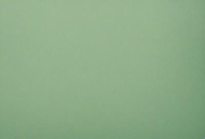 The image is a close-up of a green wall, possibly a wallpaper or a painted surface. The green color dominates the scene, creating a calm and soothing atmosphere. The wall appears to be clean and free of any distractions, making it an ideal backdrop for various purposes.