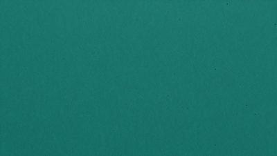 The primary subject of the image is a green background. The setting is a large, empty space with no visible objects or people. The visual style is a close-up of the green background, which appears to be a piece of fabric or a wall. The colors and mood of the image are predominantly green, creating a calm and serene atmosphere.