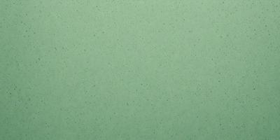 The primary subject of the image is a green wall. The setting is a room with a green wall, and the visual style is a photo. The dominant colors are green, and the overall atmosphere is calm and serene.