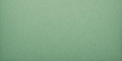 The primary subject of the image is a green wall. The setting is a room with a green wall, and the visual style is a photo. The dominant colors are green, and the overall atmosphere is calm and serene.