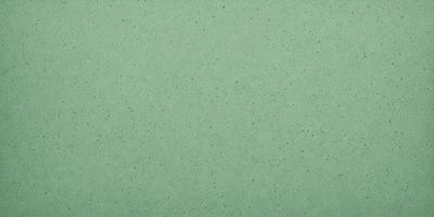 The primary subject of the image is a green wall. The setting is a room with a green wall, and the visual style is a photo. The dominant colors are green, and the overall atmosphere is calm and serene.