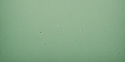 The primary subject of the image is a green surface with a few white dots scattered across it. The setting appears to be a plain, empty space with no other objects or elements visible. The visual style of the image is a close-up of the green surface with the white dots, which gives it a simple and minimalist appearance. The colors and mood of the image are predominantly green and calm, with the white dots adding a touch of contrast and interest to the otherwise plain surface.