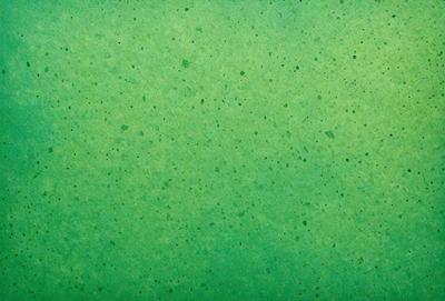 The primary subject of the image is a green background with a pattern of white dots. The setting appears to be a wall or a surface with a green tint. The visual style of the image is a close-up of the green background, which gives it a textured and detailed appearance. The colors and mood of the image are predominantly green, with the white dots adding a touch of contrast and visual interest.