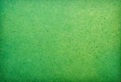 The primary subject of the image is a green background with a pattern of dots. The setting is a close-up of the green background, which appears to be a wall or a piece of fabric. The visual style is a patterned background, which gives the image a unique and artistic appearance. The colors and mood of the image are predominantly green, creating a calm and soothing atmosphere.