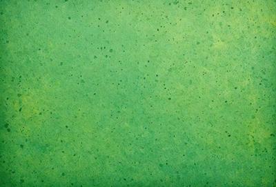 The primary subject of the image is a green background with a pattern of dots. The setting is a close-up of the green background, which appears to be a wall or a piece of art. The visual style is a digital art or illustration, as the dots are arranged in a visually appealing manner. The colors and mood of the image are predominantly green, creating a calm and soothing atmosphere.