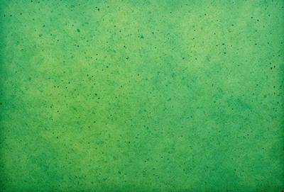 The primary subject of the image is a green background with a pattern of dots. The setting is a close-up of the green background, which appears to be a wall or a piece of fabric. The visual style is a close-up of the green background, which gives the image a clean and minimalist appearance. The colors and mood of the image are predominantly green, creating a calm and soothing atmosphere.