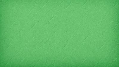 The primary subject of the image is a green background with a textured surface. The setting appears to be a room with a green wall. The visual style is a close-up of the green wall, which gives a sense of depth and texture. The colors and mood of the image are predominantly green, creating a calm and soothing atmosphere.