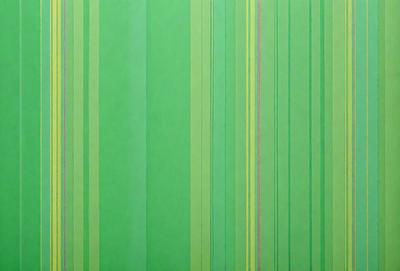 The primary subject of the image is a green and yellow striped pattern. The setting is a green background, and the visual style appears to be a digital art or illustration. The dominant colors are green and yellow, creating a lively and vibrant atmosphere.