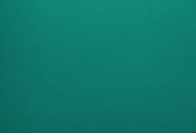 The primary subject of the image is a large, green wall. The setting is a room with a green background, which creates a calm and soothing atmosphere. The visual style is a photo, capturing the vibrant color of the green wall. The colors and mood of the image are predominantly green, giving it a serene and peaceful appearance.