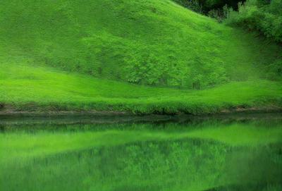 The primary subject of the image is a large, lush green hillside with a grassy slope. The hillside is covered in green grass, and there are trees scattered throughout the scene. The setting is a serene, natural environment, with the hillside overlooking a body of water. The visual style of the image is a photo, capturing the beauty of the landscape. The dominant colors are green, with the grass and trees, and the overall atmosphere is peaceful and tranquil.