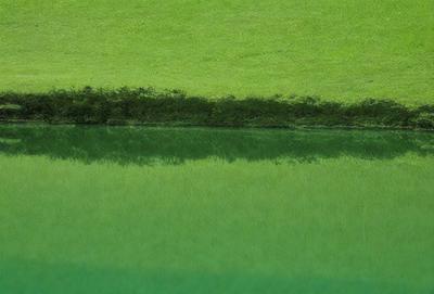 The primary subject of the image is a grassy field with a body of water, possibly a lake or a pond. The setting is a lush green environment, with the grassy field and the water creating a serene and natural atmosphere. The visual style of the image is a close-up of the grassy field, which gives a sense of depth and perspective. The colors in the image are predominantly green, which adds to the overall mood of the scene.