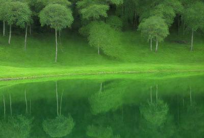 The primary subject of the image is a large body of water, which appears to be a lake. The water is surrounded by a lush green forest, with trees and bushes visible in the background. The visual style of the image is a photo, capturing the natural beauty of the scene. The colors and mood of the image are predominantly green, with the water reflecting the surrounding trees and creating a serene and peaceful atmosphere.
