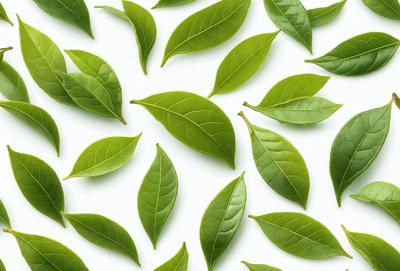 The primary subject of the image is a large collection of green leaves, which are arranged in a pattern on a white background. The leaves are displayed in various shapes and sizes, creating a visually appealing and lively scene. The visual style of the image is a close-up of the leaves, showcasing their intricate details and textures. The dominant colors in the image are green, which is the color of the leaves, and white, which serves as the background. The overall atmosphere of the image is fresh, vibrant
